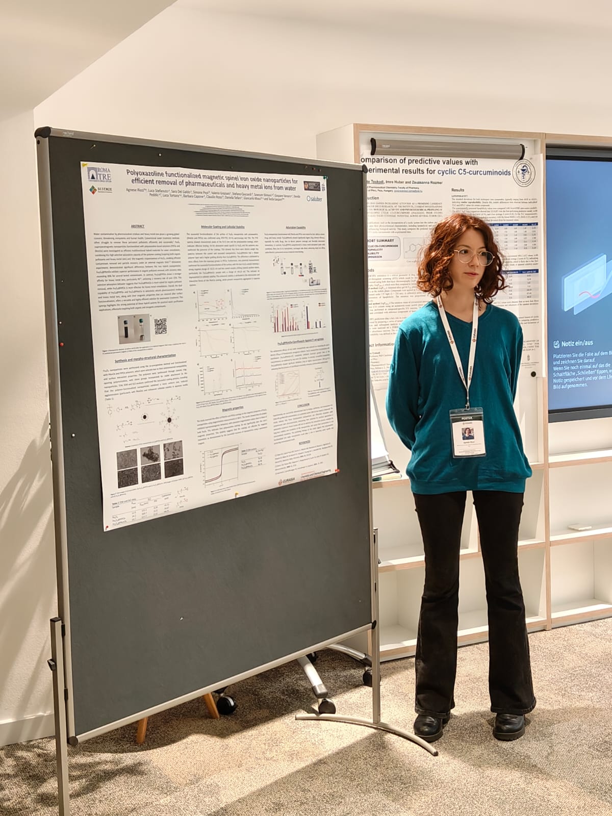 Panels & poster sessions
