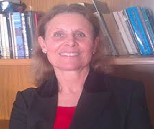 Prof. Dr. Luisa Maria Arvide Cambra